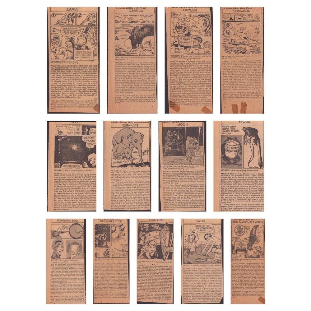12 Vintage Junior Editors Quiz Newspaper Clippings Science Nature Ephemera Lot - Picture 1 of 14
